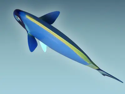 Dorry Fish 3D model