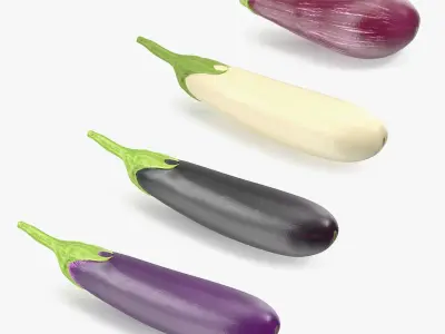 Eggplants Collection 3D model