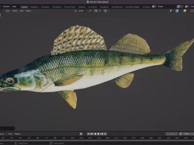 Perch Fish Low-poly 3D model