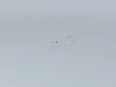 A380 landing at Heathrow Free 3D model