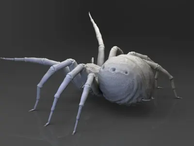Shelob 3D model