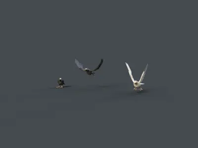 Mobile Crow Low-poly 3D model