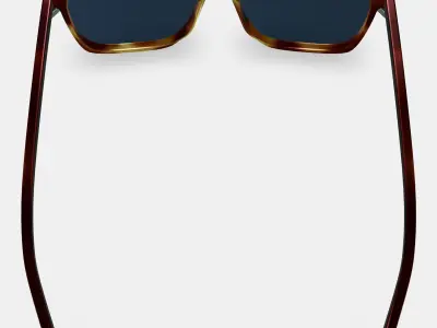Fletcher Sunglasses in Rye Tortoise 3D model