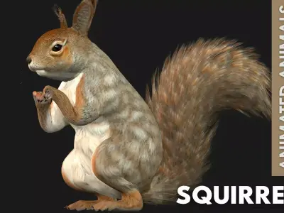 Squirrel A3 Free 3D model