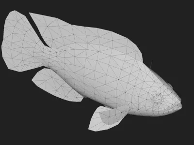 Cichlid Low-poly 3D model