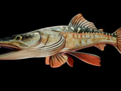 Trophy Fish Pike 2 3D model