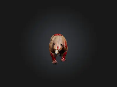 Realistic Wounded Bear Model Low-poly 3D model
