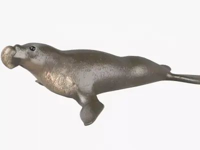 Elephant Seal Low-poly 3D model