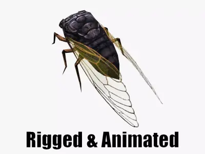 low poly animated cicada Low-poly 3D model