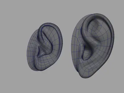 ear 3d model 3D model