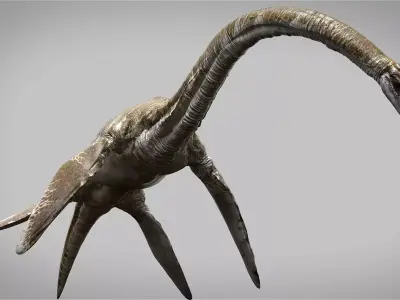 Elasmosaurus Rigged Low-poly 3D model