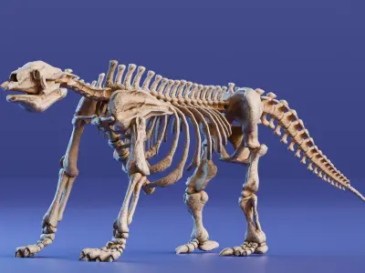 Realistic Mammals Fossil - Megatherium Low-poly 3D model