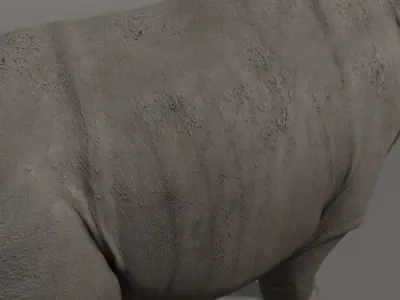 Indricotherium 3D - Pre-historic mammal 3D model