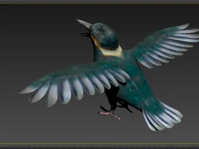 hummingbird humming bird kolibri animal tiny 3D model