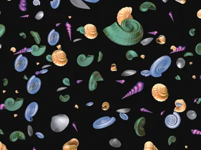 Shells and ammonites 3D model