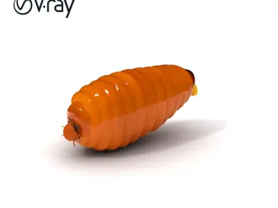 Realistic Insect Larva Model Pack for Animation and Games Low-poly 3D model