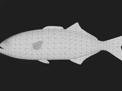 Bluefish Low-poly 3D model