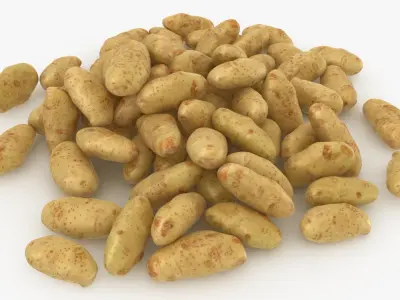 Potato Pile 3D model