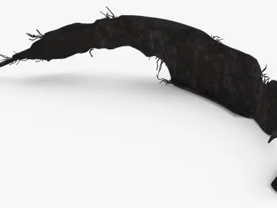 Tire Section 011 3D model