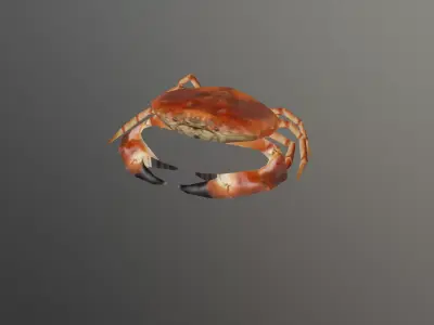 Crab 3D Low-poly 3D model