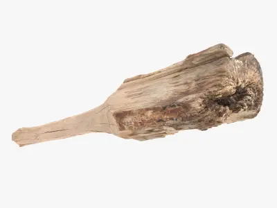 Club Worn Low-poly 3D model