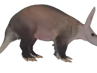 Aardvark Low-poly 3D model
