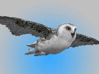 Snowy White Owl Animated Low-poly 3D model