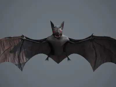 Bat 3D  Low-poly 3D model
