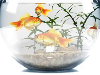 Aquarium  bowl 3D model