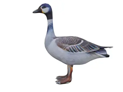 Realistic Goose LOW POLY Low-poly 3D model