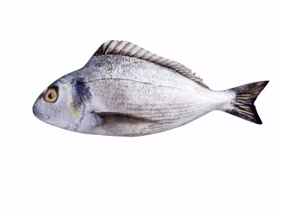 Bream Fish Low-poly 3D model