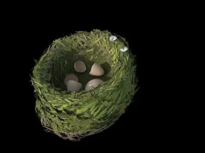 Bird Nest flower Low-poly 3D model