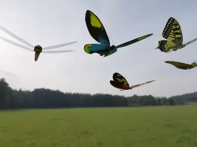 Blender 3D Insects Model 3D model