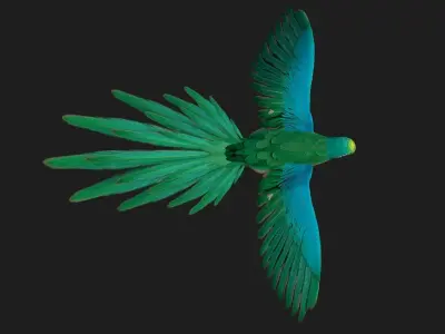 Parrot A5 3D model