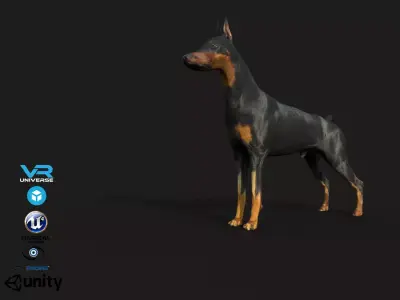 Dobermann Dog Low-poly 3D model