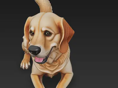 Golden Retriever Dog Realistic 3D Model - Low Poly Realistic Low-poly 3D model