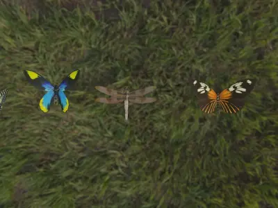 Blender 3D Insects Model 3D model