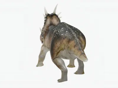 Styracosaurus No rigging 2K textures Low-poly 3D model