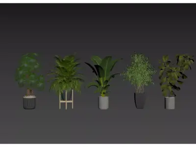 potted plant combination 3D model