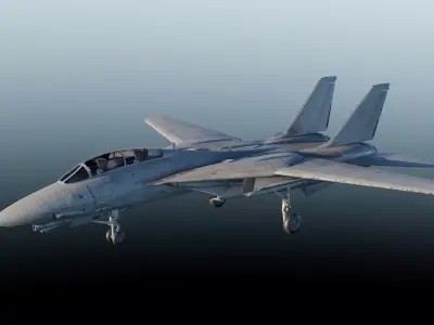 F-14 Tomcat Fighter Jet 3D model
