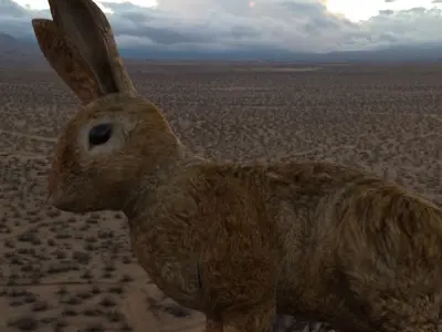 Lowpoly Rabbit two colorful rabbits Low-poly 3D model