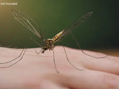 Rigged Insects Collection 3D model