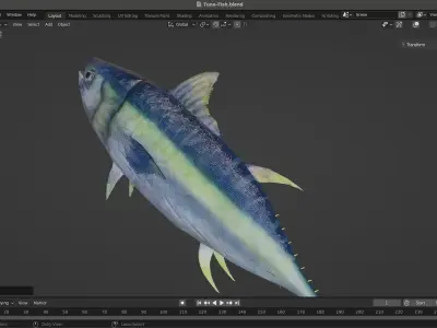 Tuna Fish Low-poly 3D model