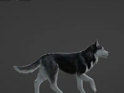 Wolf 3D dog running Low-poly 3D model