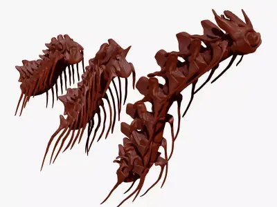 Dinosaur Spinosaurus Tyrannosaurus Giganotosaurus Neck Skeletons 3D model