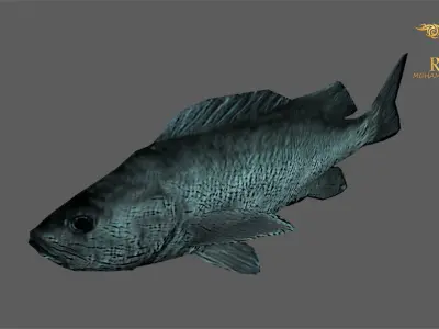 Animated Black Rock Fish - Loop Animation with 1160 Frames Low-poly 3D model
