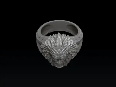 Native Indian Ring v2 3D print model