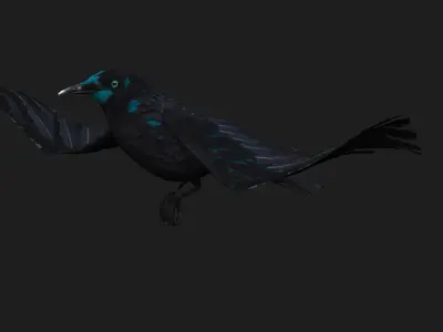 Raven A2 3D model