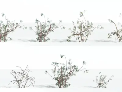 EVERYPlant Baiera LowPoly 3 --14 Models-- Low-poly 3D model