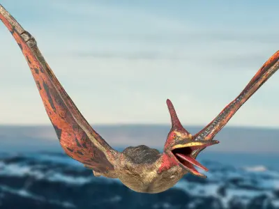 Pteranodon Rigged Animated 3D model Low-poly 3D model